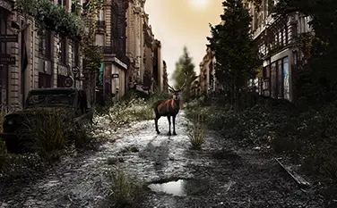 <?php echo htmlspecialchars($pageTitle); ?>